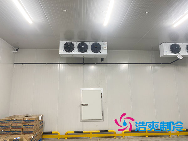 江苏农产品保鲜库建造大概多少钱？-91香蕉国产在线观看软件制冷