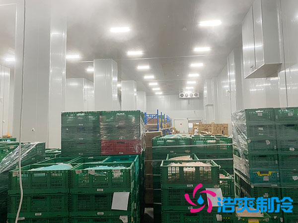 济宁农产品加工储存香蕉视频官网网站多少钱？-91香蕉国产在线观看软件制冷