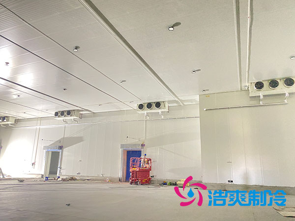 大型香蕉视频官网网站工程安装施工方案-91香蕉国产在线观看软件制冷