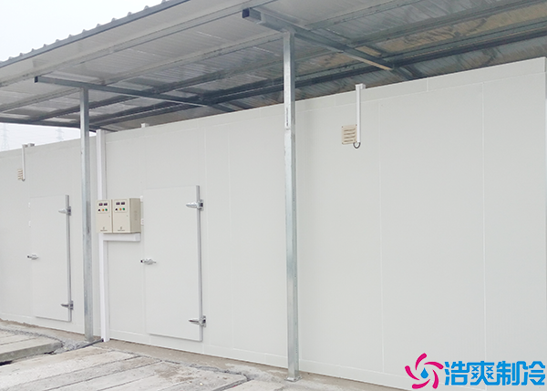 食品展示香蕉视频官网网站