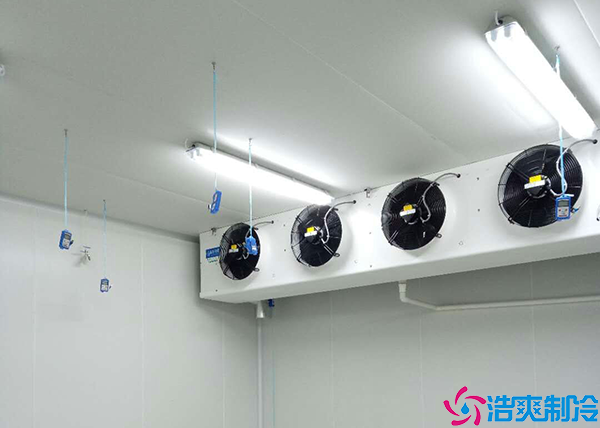 食品展示香蕉视频官网网站