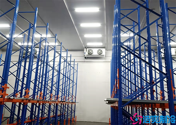 香蕉视频官网网站设备