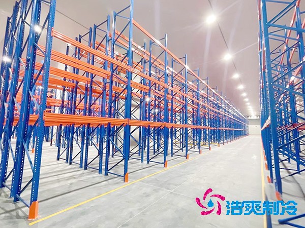 1000吨物流低温冷藏库设计建造费用