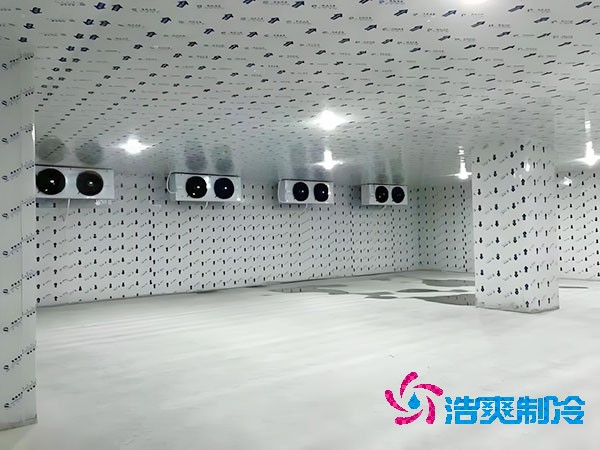 小型速冻香蕉视频官网网站建造价格