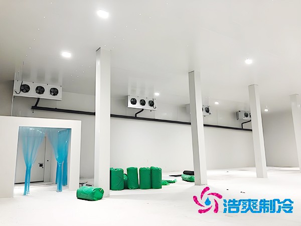 坚果香蕉视频官网网站建设预算
