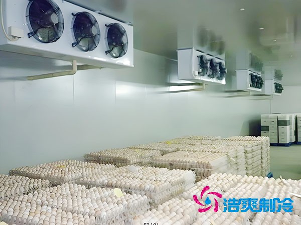 食品香蕉视频官网网站温度是多少度合适