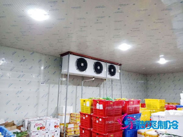 食品香蕉视频官网网站温度是多少度合适
